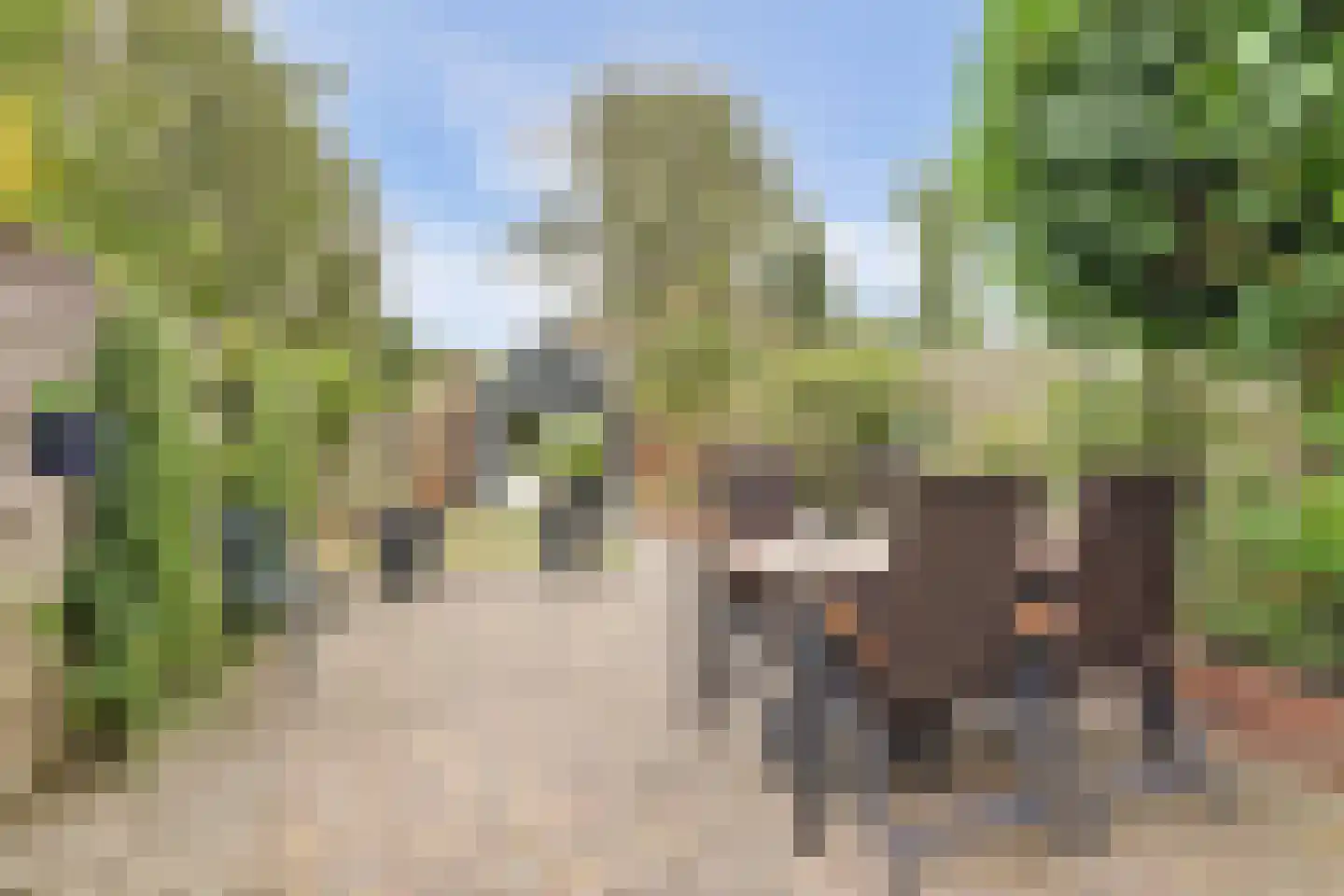 Súd 11 Workum thumbnail 22
