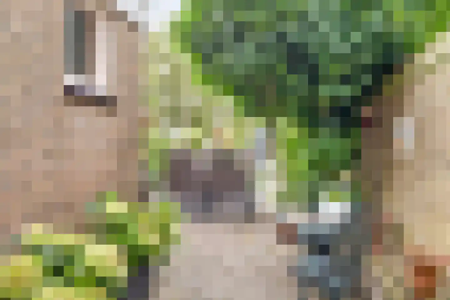 Súd 11 Workum thumbnail 23