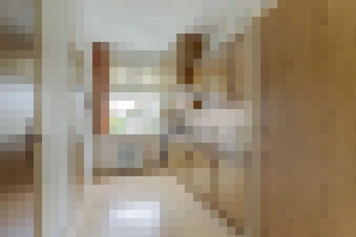 Súd 29 Workum thumbnail 9