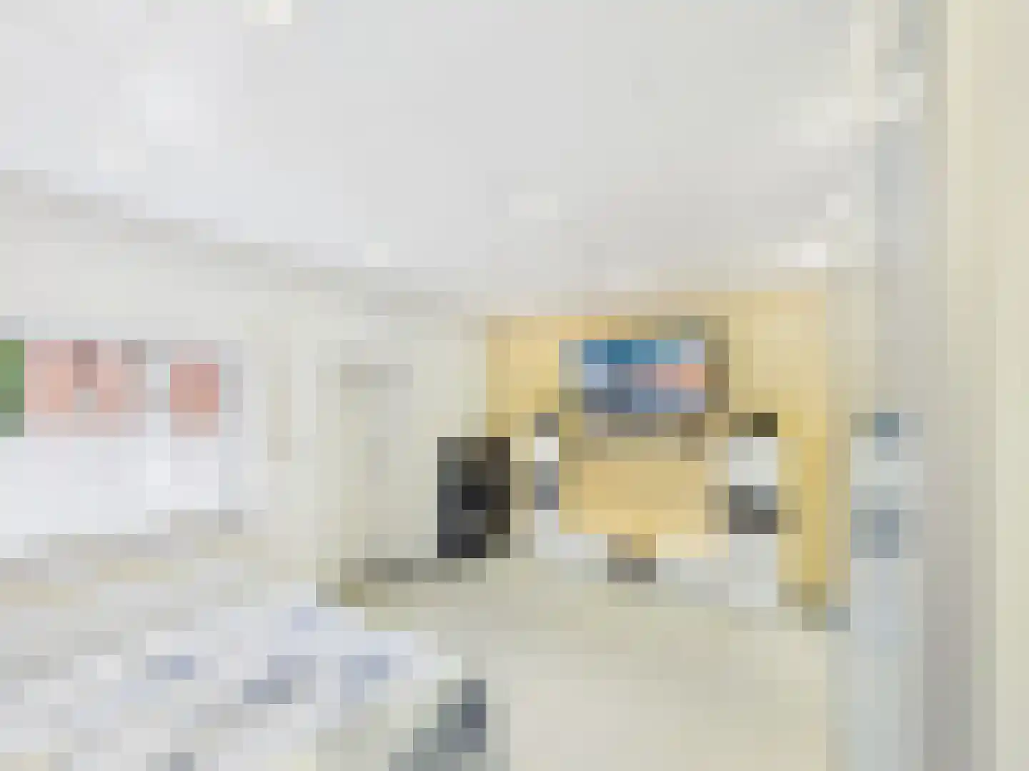 Súd 63 Workum thumbnail 16