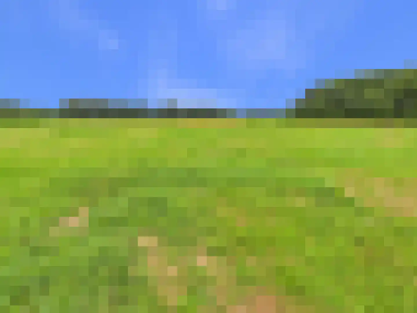 Súd 63 Workum thumbnail 73