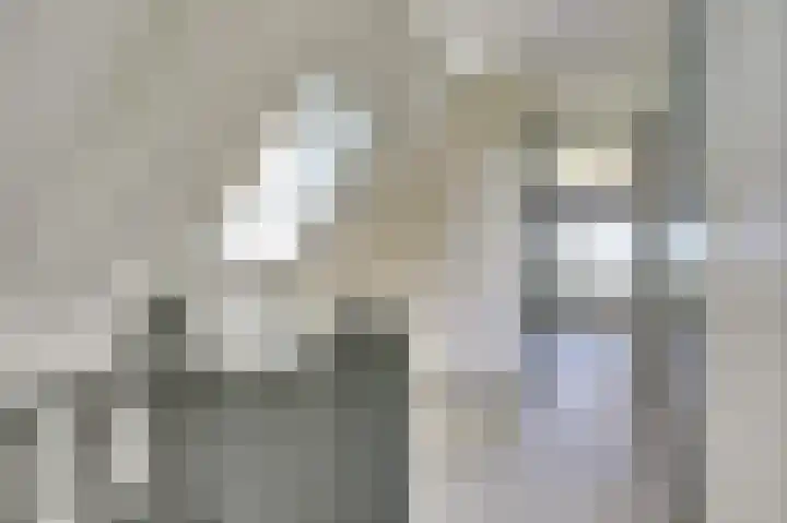 Súd 84 Workum thumbnail 14