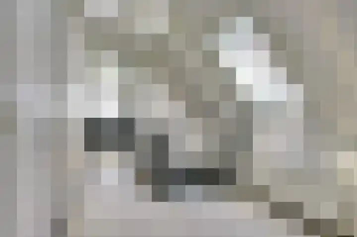 Súd 84 Workum thumbnail 15