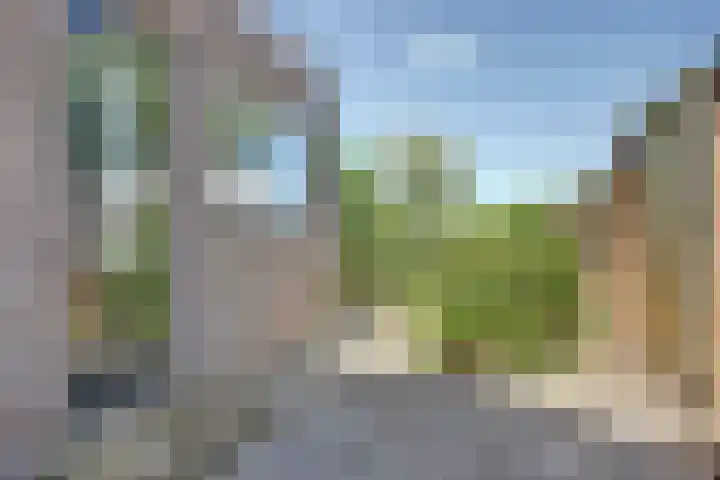 Súd 84 Workum thumbnail 26