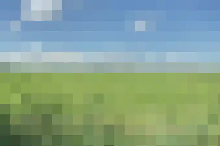 Súd 84 Workum thumbnail 29