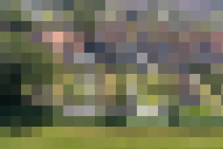 Súd 84 Workum thumbnail 4