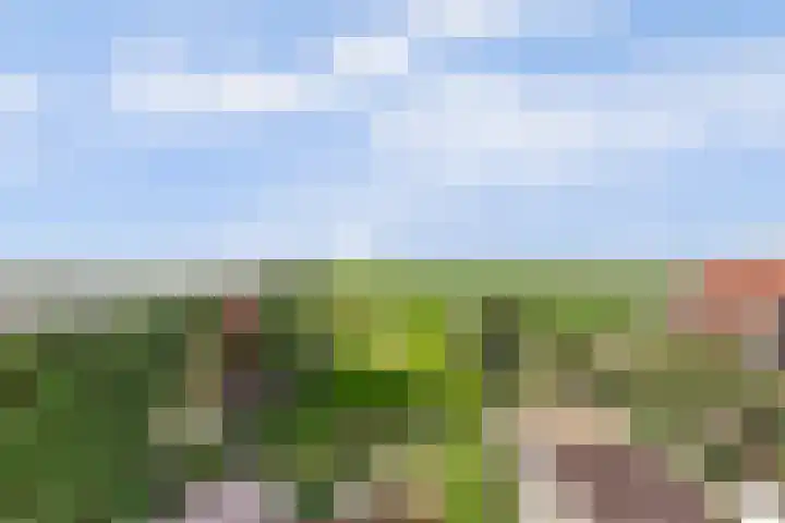 Súd 96 Workum foto 2