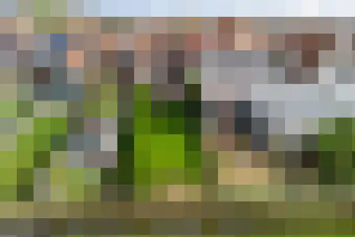 Súd 96 Workum thumbnail 29