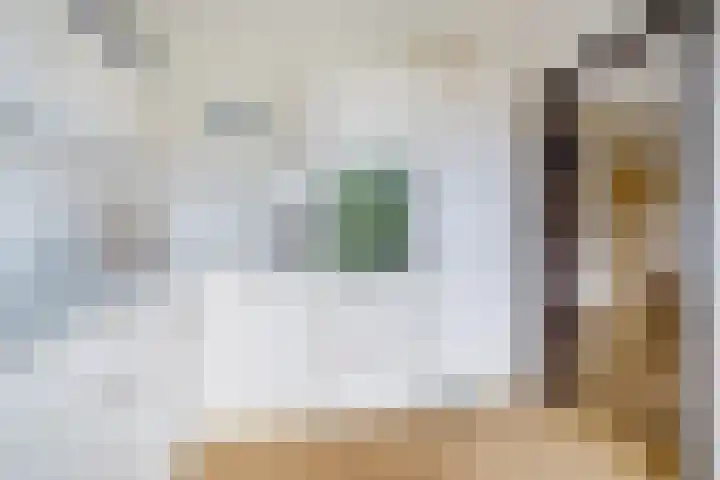 Súd Ie 32 Dokkum thumbnail 12