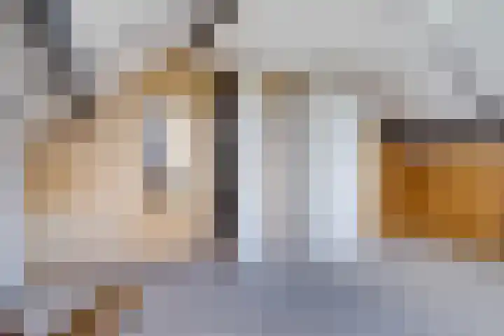 Súd Ie 32 Dokkum thumbnail 25