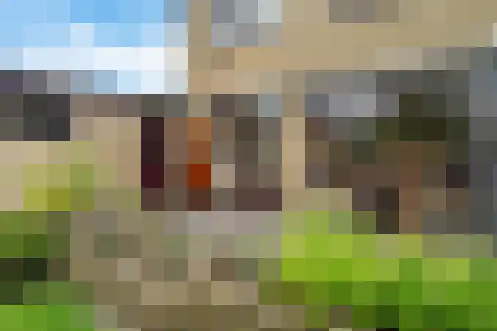 Súd Ie 32 Dokkum thumbnail 26