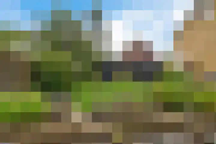 Súd Ie 32 Dokkum thumbnail 28