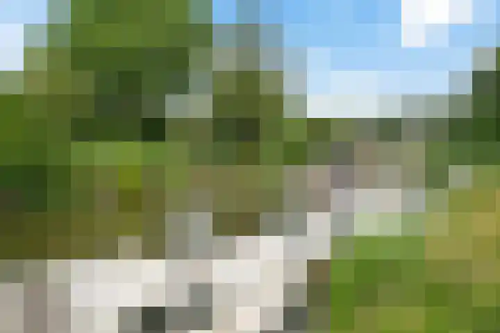 Súd Ie 32 Dokkum foto 3