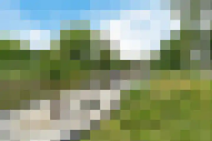 Súd Ie 32 Dokkum thumbnail 33