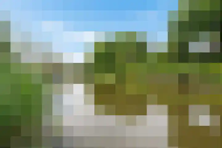 Súd Ie 32 Dokkum thumbnail 35