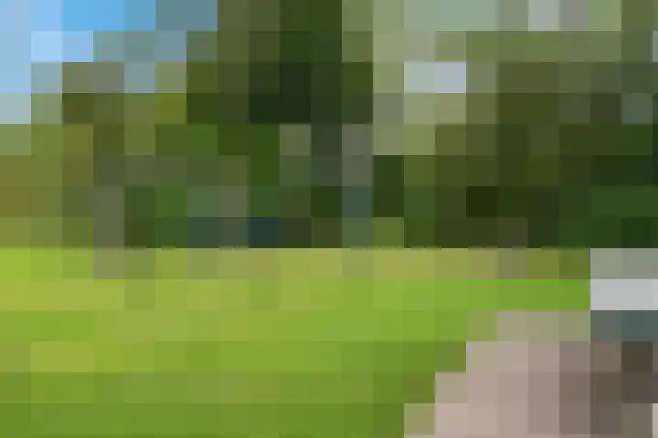 Súd Ie 32 Dokkum thumbnail 36