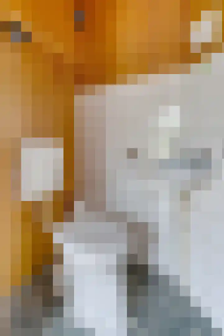 Súd Ie 32 Dokkum thumbnail 6