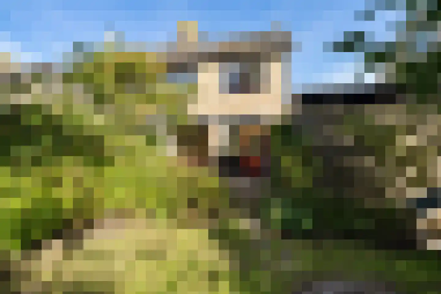 Súd Ie 38 Dokkum foto 3