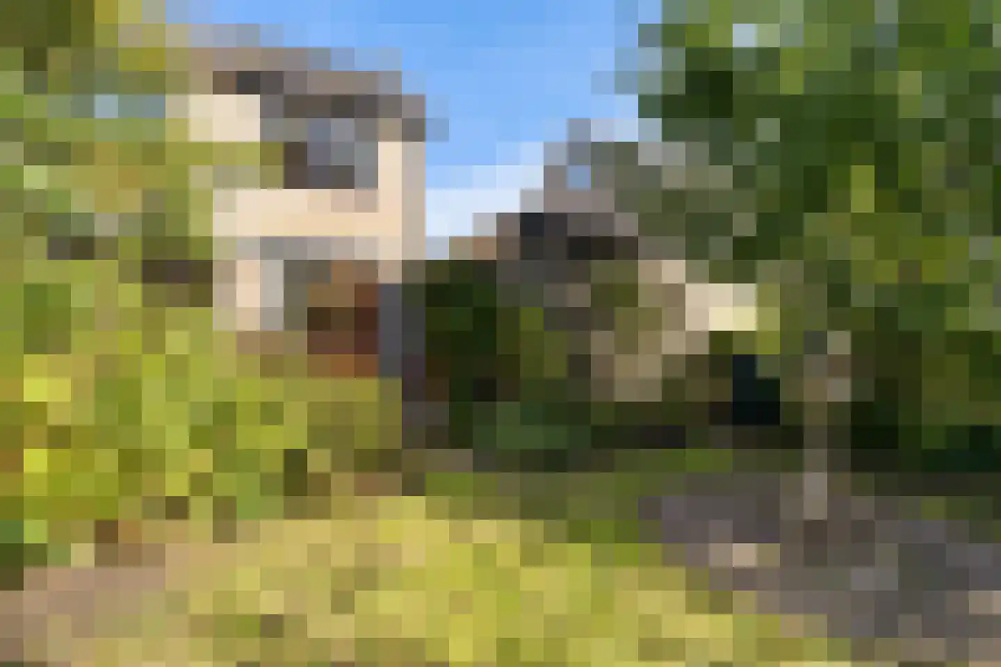 Súd Ie 38 Dokkum thumbnail 34