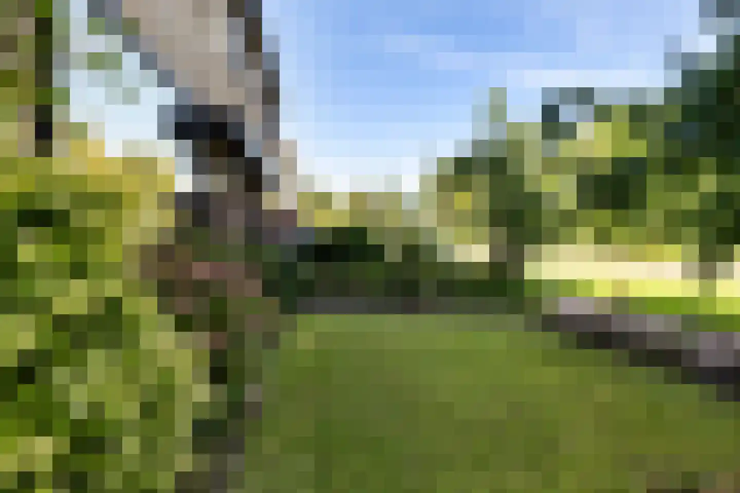 Súd Ie 38 Dokkum thumbnail 38