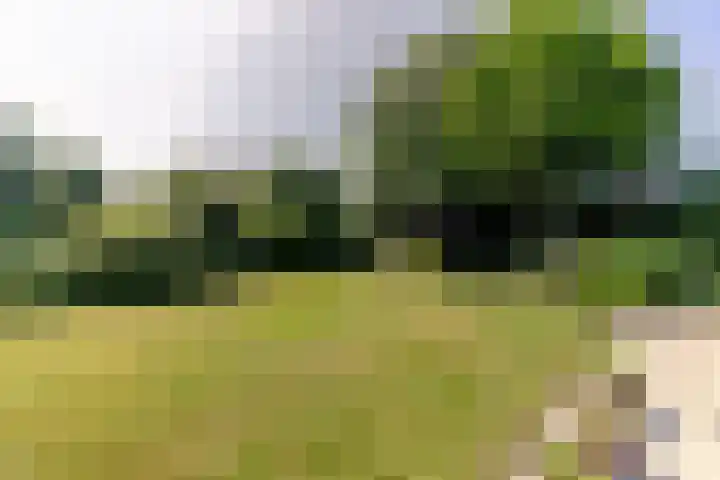 Sudemare 20 Rockanje thumbnail 38