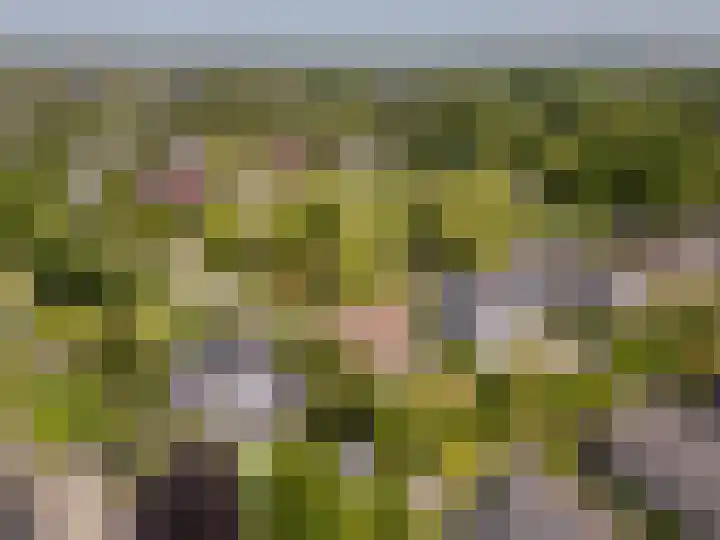 Sudemare 20 Rockanje thumbnail 39