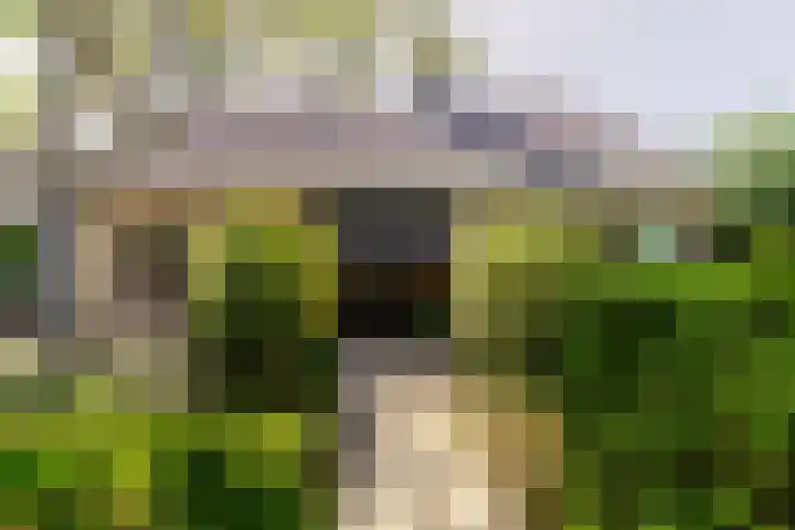 Sudemare 20 Rockanje thumbnail 42