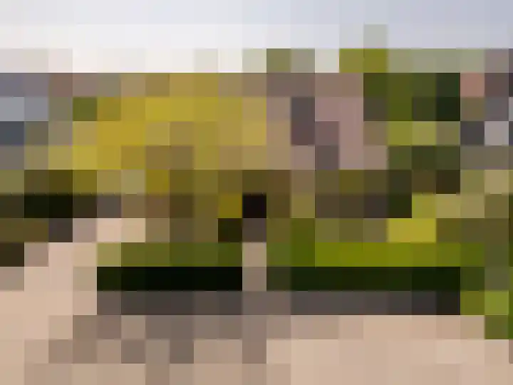 Sudemare 20 Rockanje thumbnail 6
