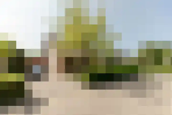 Sudemare 20 Rockanje thumbnail 7