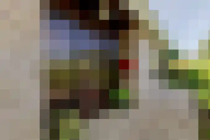 Sudemare 20 Rockanje thumbnail 8