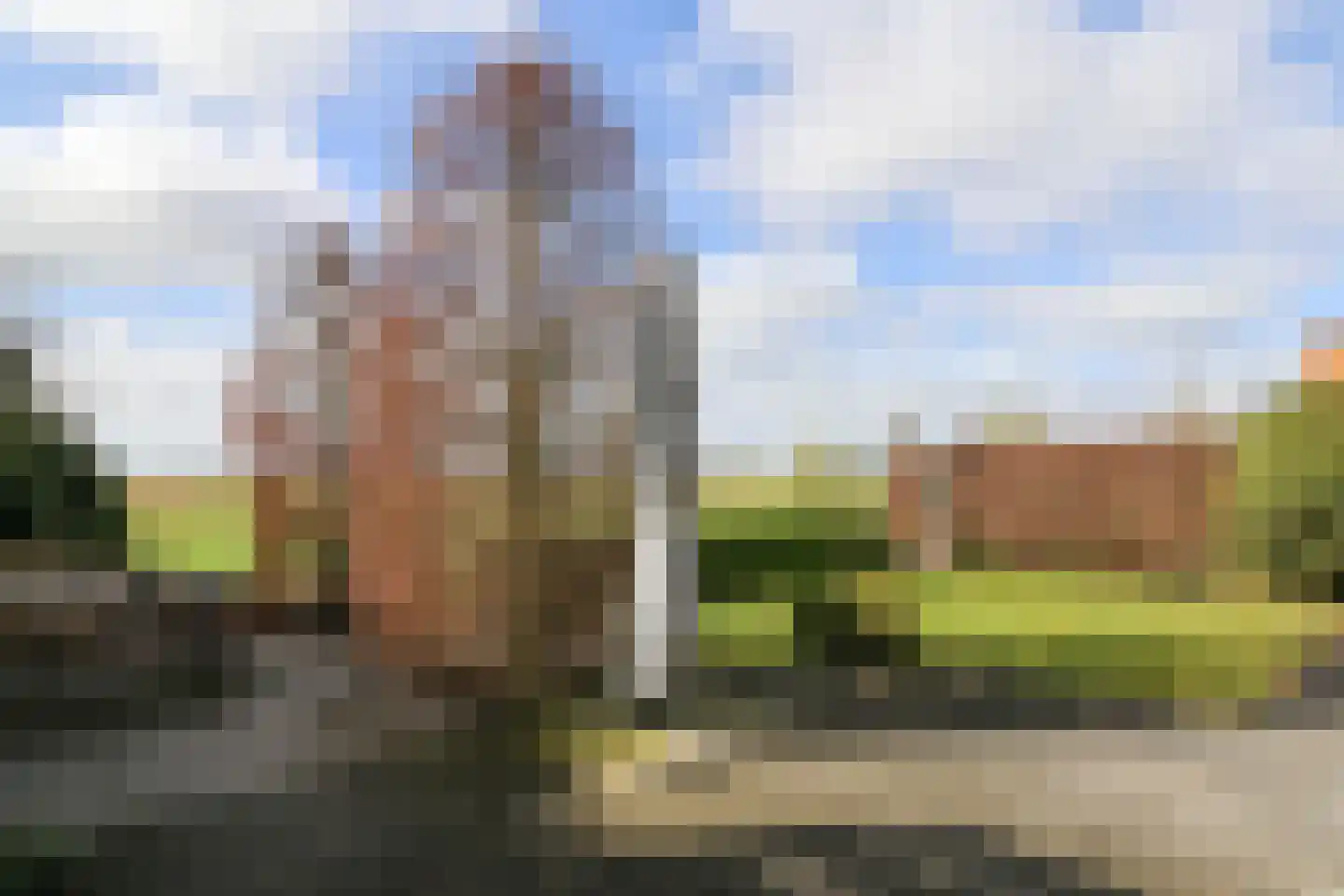 Suder Stienplaat 125 Leeuwarden thumbnail 55