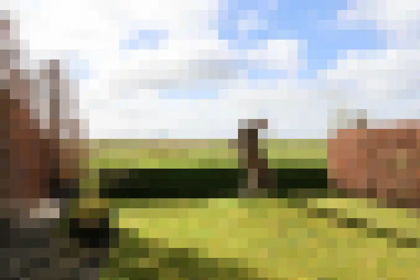 Suder Stienplaat 125 Leeuwarden thumbnail 57