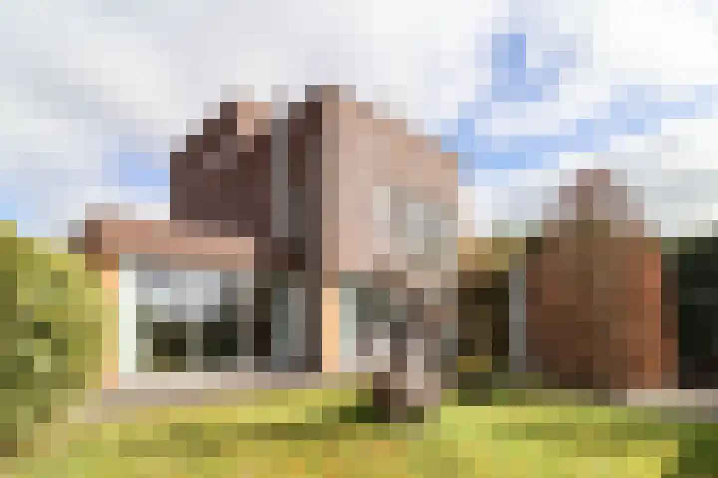 Suder Stienplaat 125 Leeuwarden thumbnail 58