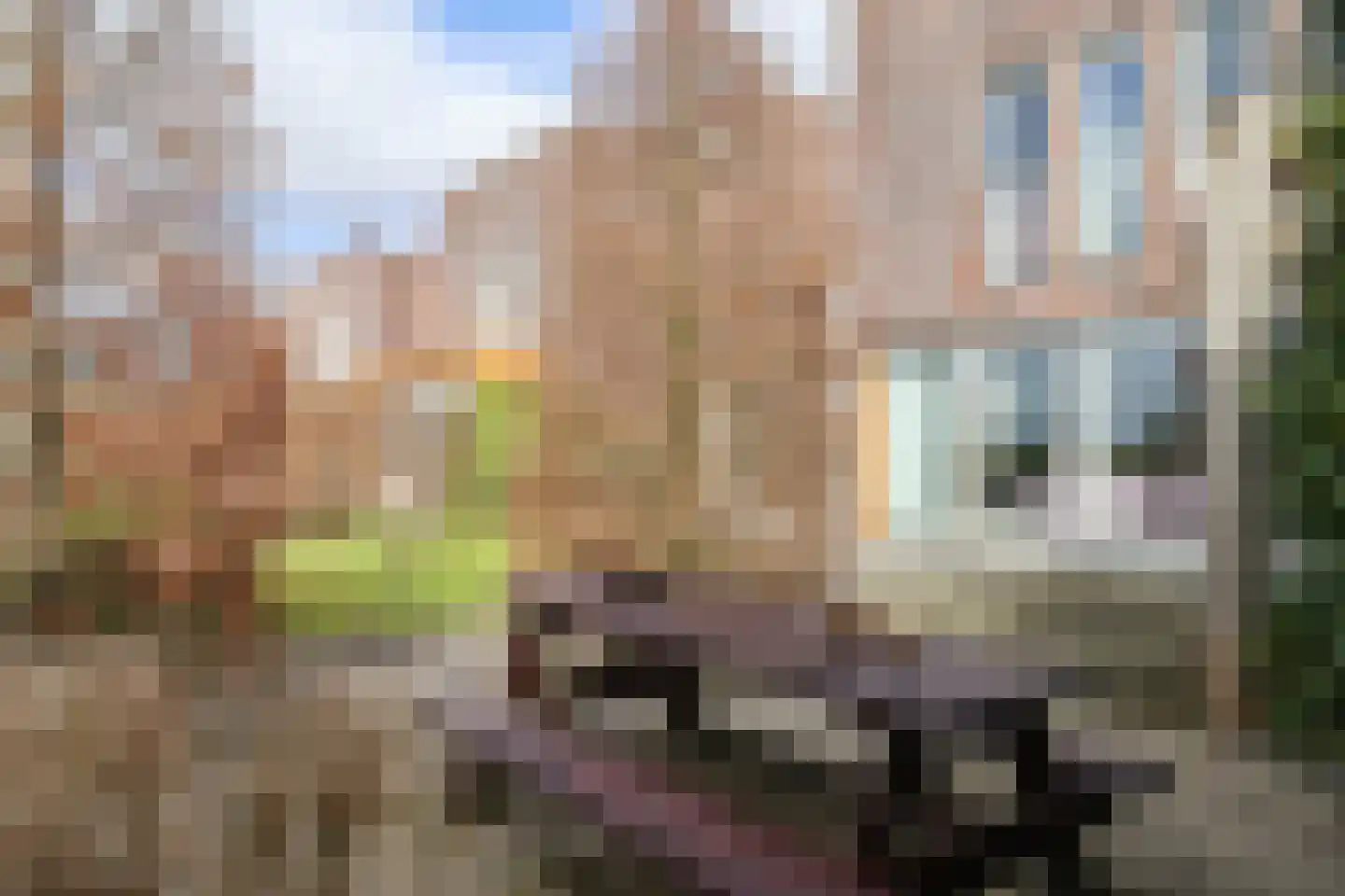 Suder Stienplaat 125 Leeuwarden thumbnail 62
