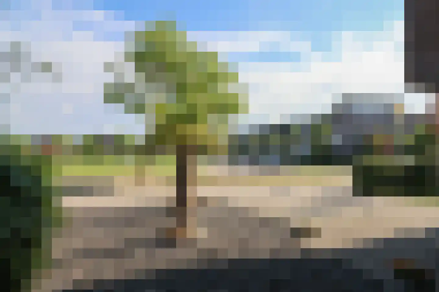 Suder Stienplaat 125 Leeuwarden thumbnail 62
