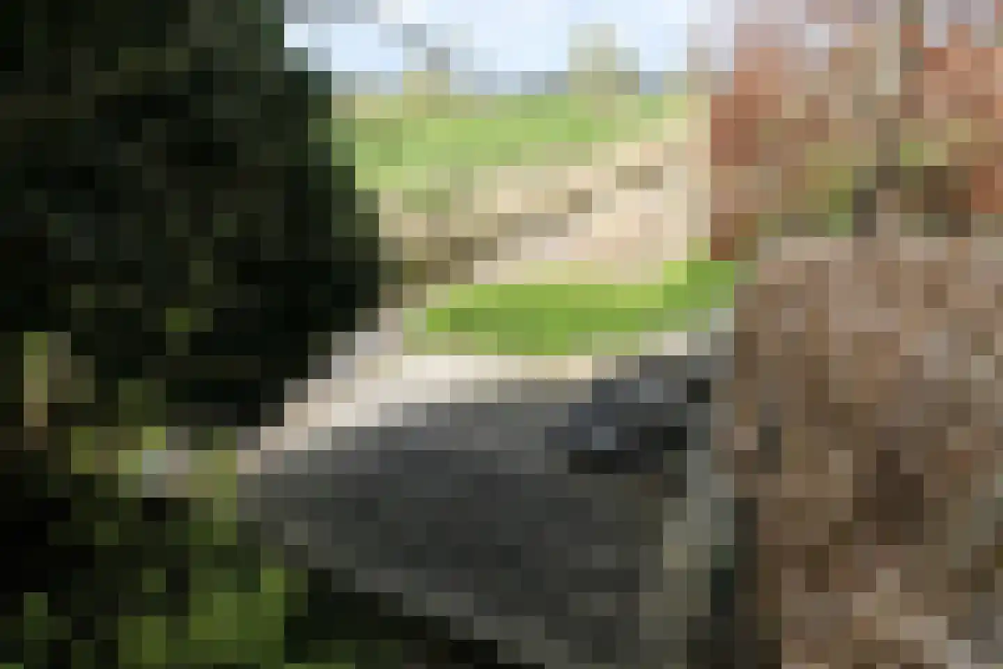 Suder Stienplaat 125 Leeuwarden thumbnail 63