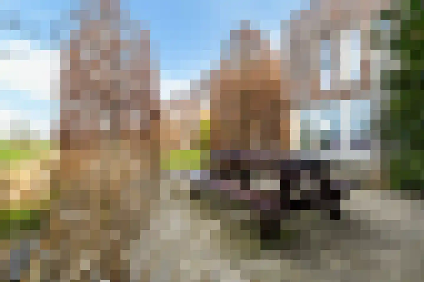 Suder Stienplaat 125 Leeuwarden thumbnail 71