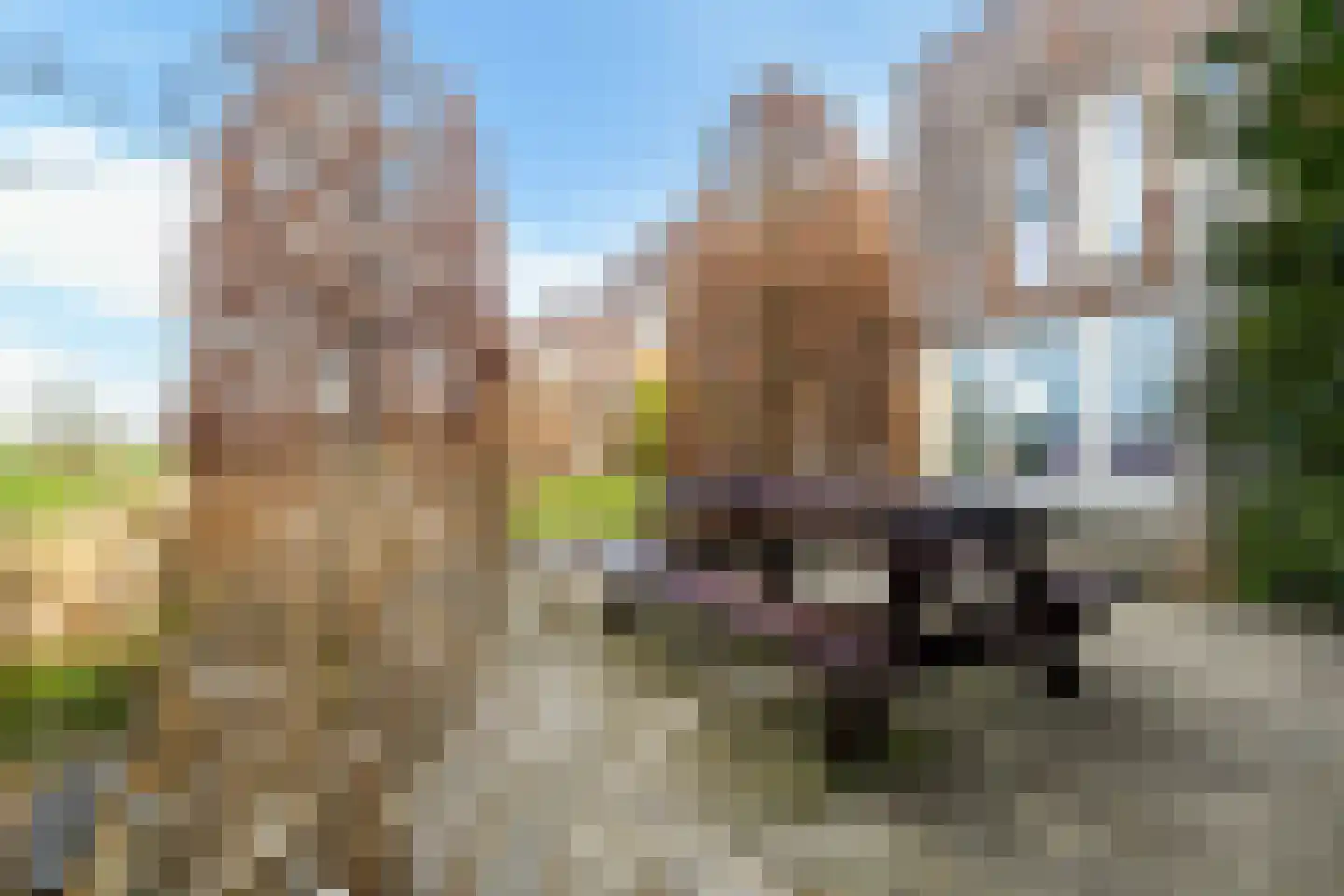 Suder Stienplaat 125 Leeuwarden thumbnail 71