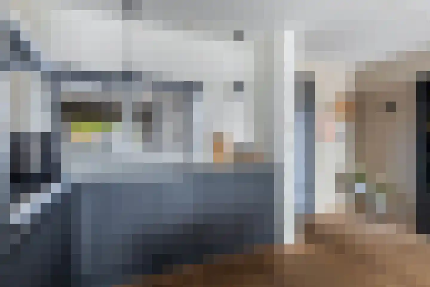 Suder Stienplaat 39 Leeuwarden thumbnail 21