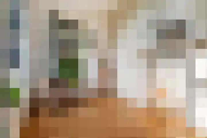 Suderbuorren 3 Hempens thumbnail 10
