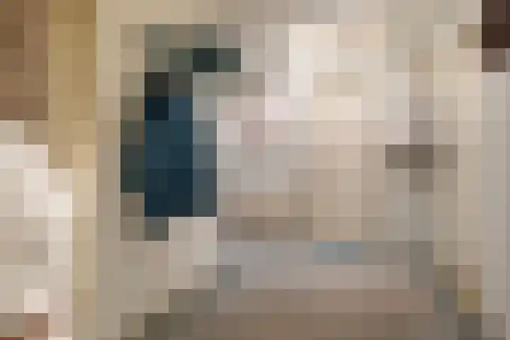 Suderbuorren 3 Hempens thumbnail 13