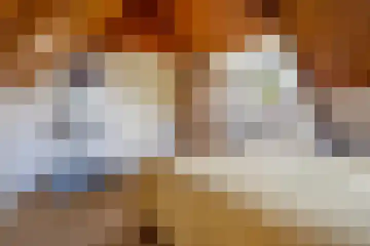 Suderbuorren 3 Hempens thumbnail 26