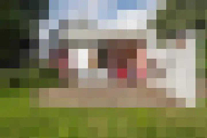 Suderbuorren 3 Hempens thumbnail 29
