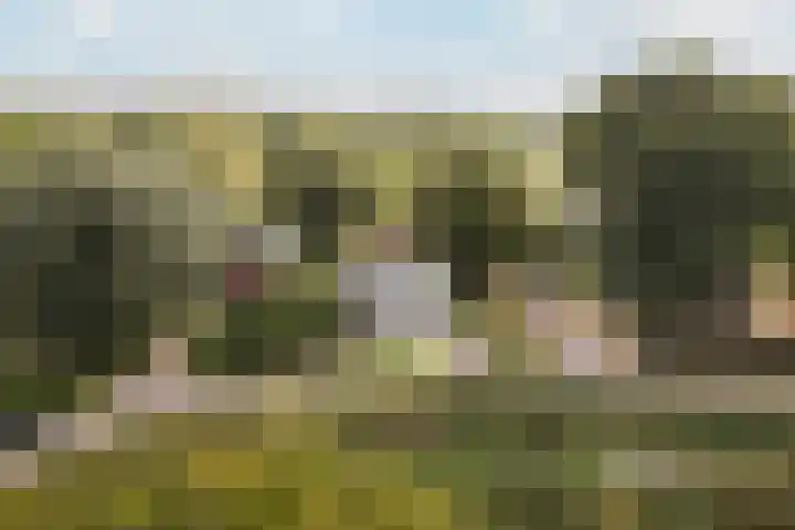 Suderbuorren 3 Hempens foto 3