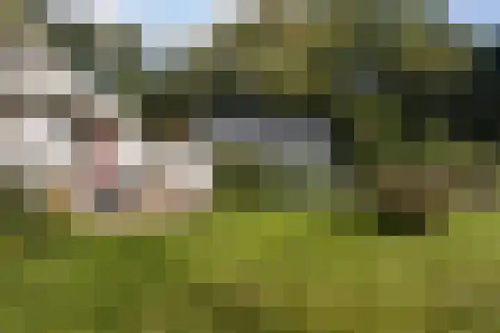 Suderbuorren 3 Hempens thumbnail 30