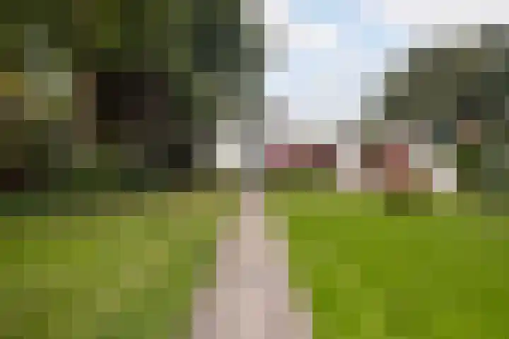Suderbuorren 3 Hempens thumbnail 32