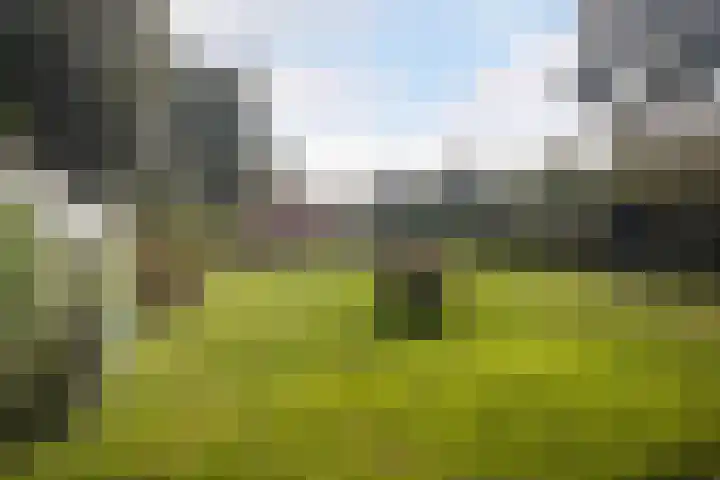 Suderbuorren 3 Hempens thumbnail 34