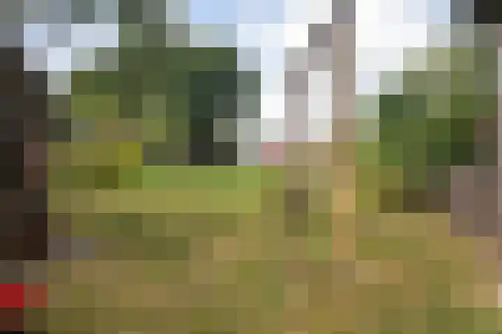 Suderbuorren 3 Hempens thumbnail 38