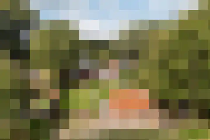 Suderbuorren 3 Hempens thumbnail 39