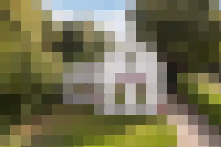 Suderbuorren 3 Hempens thumbnail 4